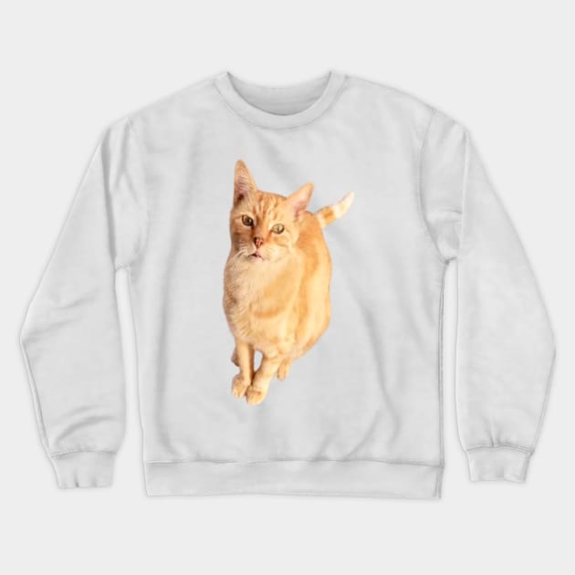 Ginger Cat Crewneck Sweatshirt by PLANTONE